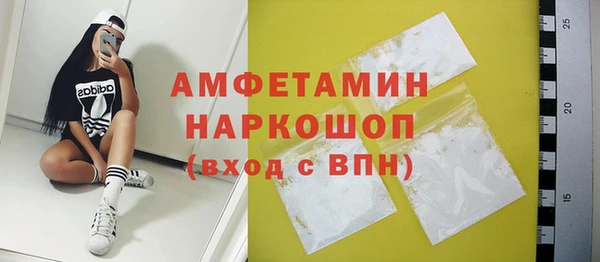spice Богородск